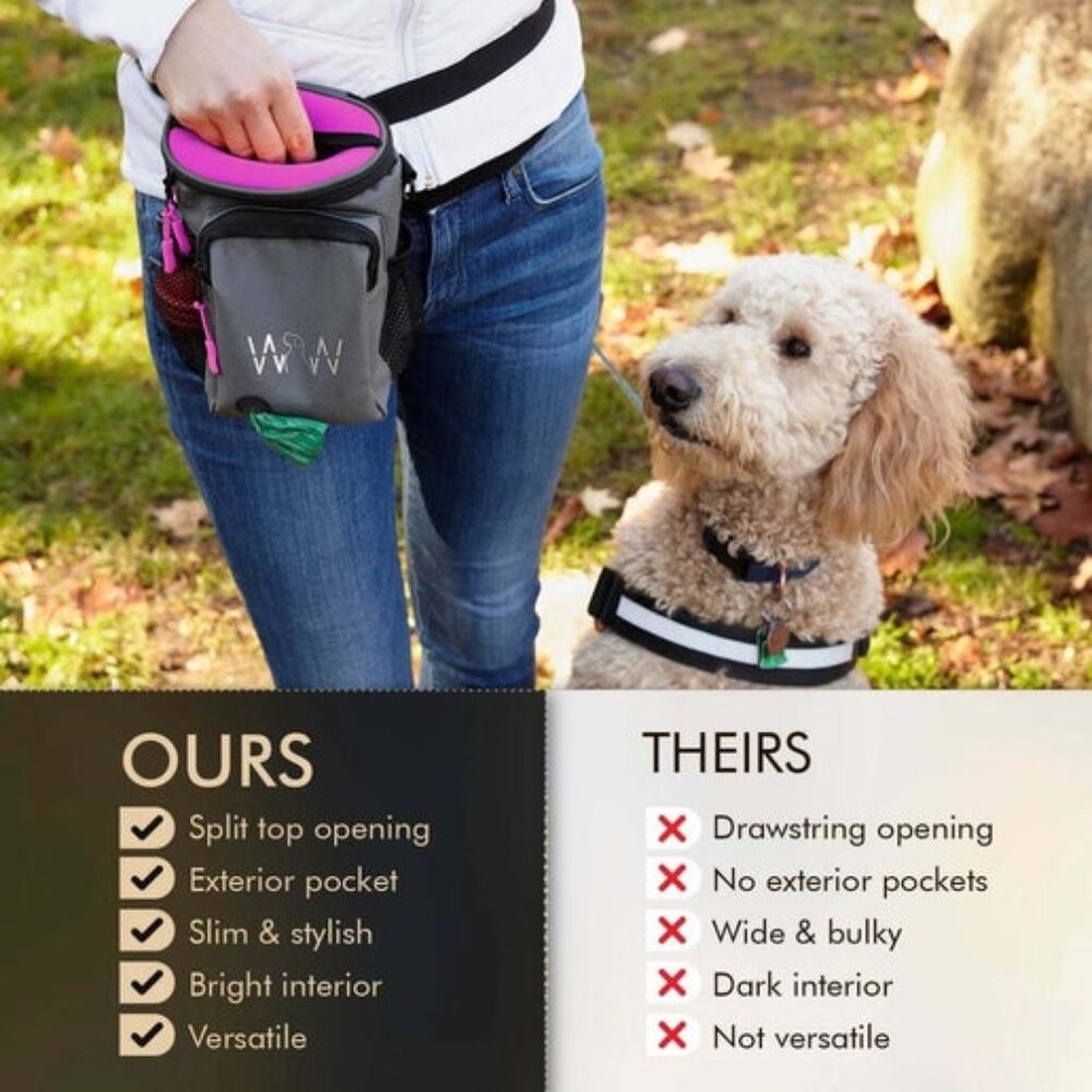 Pet Walking/Travel Bag in Fuchsia